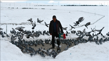 Yaban kuşlarına "sofra" kurmak için her sabah kar kürüyor