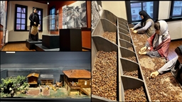 Fındığın bahçeden sofraya yolculuğunu anlatan müze yaklaşık 60 bin ziyaretçiyi ağırladı