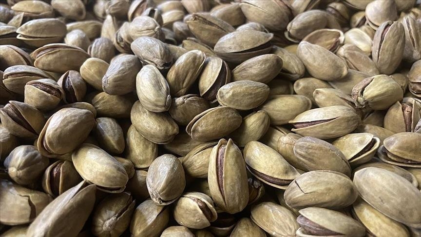 تركيا تجني 178 مليون دولار من صادرات الفستق في 2025