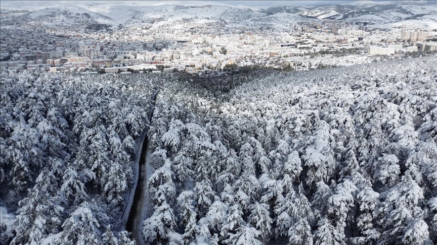 Зимска бајка во срцето на Турција: Снежните шуми во Јозгат