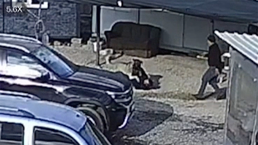 Antalya'da beslediği köpeğin saldırısına uğrayan kişi yaralandı 