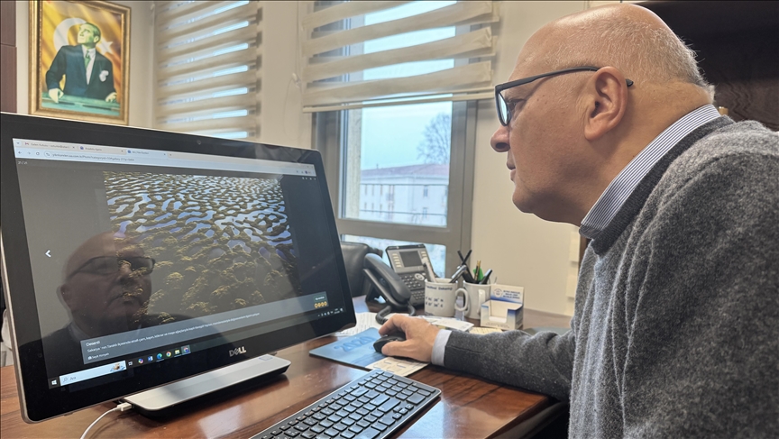 Türkiye among parties as High Seas Treaty enters into force on Jan. 17