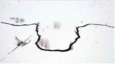 جوانی جۆگە پێچاوپێچەکانی کاستامۆنو لەژێر بەفردا