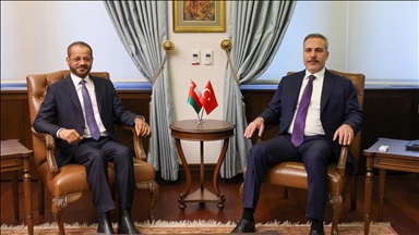 وزير الخارجية التركي ونظيره العماني يبحثان جهود التهدئة بالمنطقة