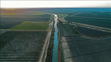 Tarım sektörüne yapılacak yatırımlarda bu yıl sulama projeleri öne çıkıyor