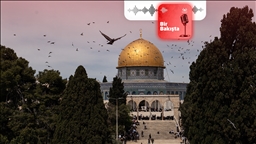 Üniversitelere "Filistin" derslerinin eklenmesi neden önemli?