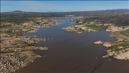 Yağışlar Trakya'daki barajlara can suyu oldu