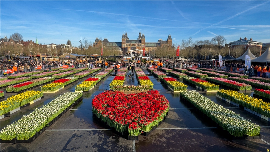 Nacionalni dan tulipana okupio stotine ljudi u Amsterdamu