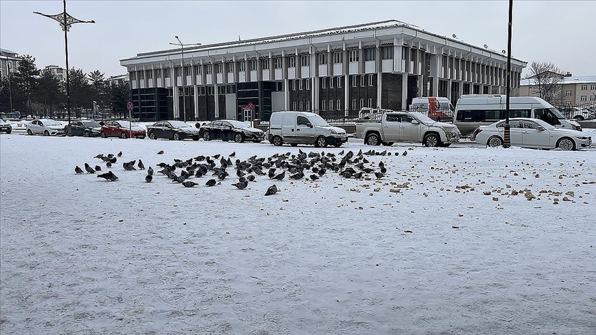 Doğu Anadolu'da soğuk ve kar etkisini sürdürüyor