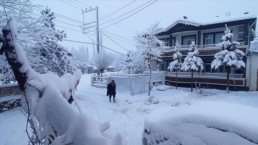 Li Wan, Bidlîs, Mûş û Hekariyê rêya 59 cî û waran girtiye