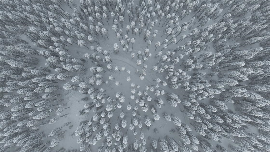 Ilgaz Dağı'nın karlı ormanları dron ile görüntülendi