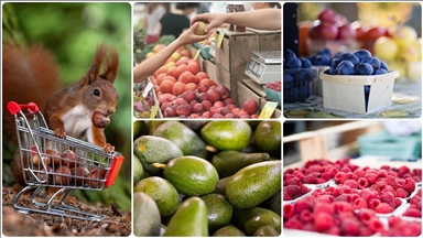 İzmir'deki 11 zincir marketten uygun fiyatlı mağaza projesi