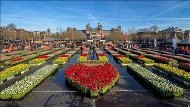 Nacionalni dan tulipana okupio stotine ljudi u Amsterdamu