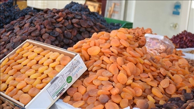 Malatya'dan geçen yıl 335 milyon dolara yakın ihracat yapıldı