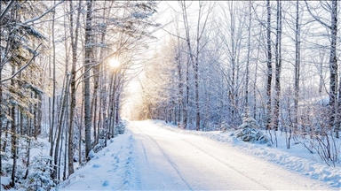LASİD'den yarıyıl tatilinde güvenli sürüş için uyarı
