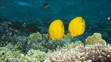 Haute mer : entrée en vigueur d’un traité international historique