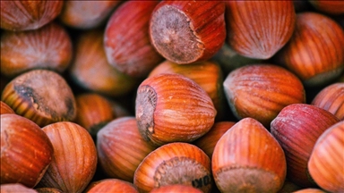 FİSKOBİRLİK Olağan Mali Genel Kurulu Giresun'da yapıldı