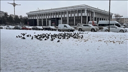 Doğu Anadolu'da soğuk ve kar etkisini sürdürüyor