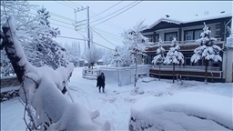 Li Wan, Bidlîs, Mûş û Hekariyê rêya 59 cî û waran girtiye