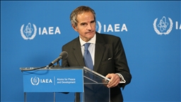 МАГАТЭ сообщило о введении локального режима прекращения огня в районе Запорожской АЭС