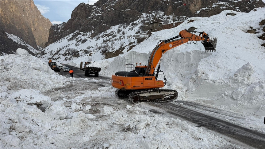 Li Wan, Hekarî, Bidlîs û Mûşê rêya 289 cî û waran girtî ne