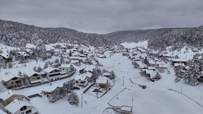 Sivas'ta çam ağaçlarıyla kaplı Eğriçimen Yaylası'nda kar kalınlığı 1 metreye ulaştı 