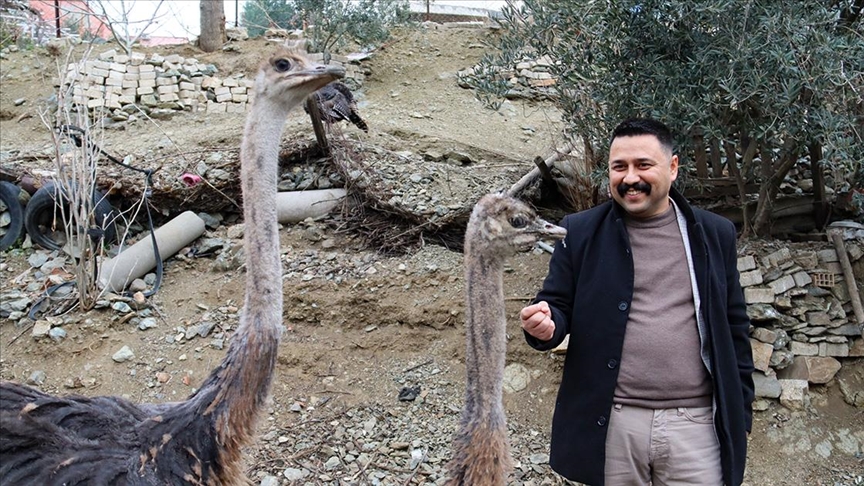 Arkadaşının hediyesiyle başladığı deve kuşu yetiştiriciliğini çiftlikte sürdürmek istiyor