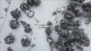 Beyaz örtüyle kaplanan Domaniç Dağları'nda yarıyıl tatili yoğunluğu yaşanıyor