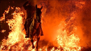 Десятки лошадей в Испании прошли через огонь по случаю Дня памяти Святого Антония
