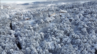 Reshjet e borës i shndërrojnë pyjet e Turqisë qendrore në peizazhe piktoreske