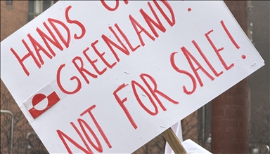 European leaders criticize Trump's tariff threat over Greenland, reiterate solidarity with Denmark