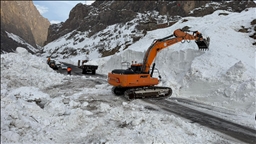 Li Wan, Hekarî, Bidlîs û Mûşê rêya 289 cî û waran girtî ne