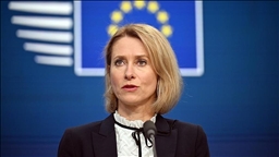 Кая Каллас призвала не отвлекаться от украинского конфликта на Гренландию