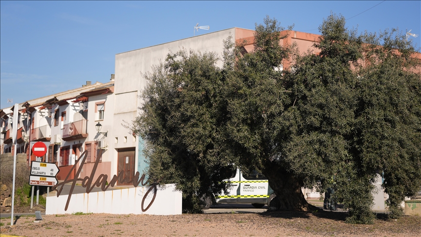 Asciende a 39 el número de fallecidos en el accidente ferroviario de alta velocidad en Adamuz, España
