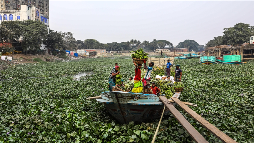 Lumenjtë mbeten burim jetese për logjistikën bujqësore në Bangladesh
