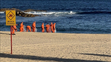 В Сиднее акулы напали на двух детей