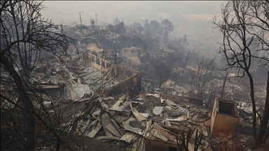 На юге Чили в результате лесных пожаров погибли 18 человек 