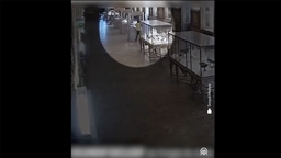 Fransa'daki Louvre Müzesi'ndeki soygunla ilgili güvenlik kamerası görüntüleri basına yansıdı
