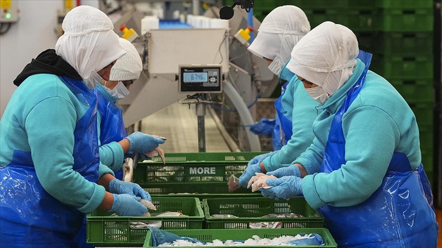 Su ürünleri ihracatının 3'te 2'ye yakını Egeli firmalardan