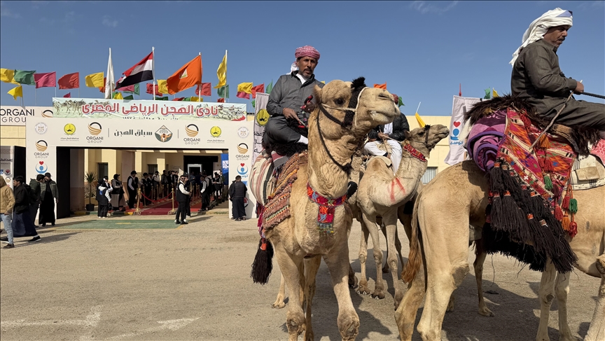 اختتام مهرجان سباقات الهجن في مدينة العريش المصرية