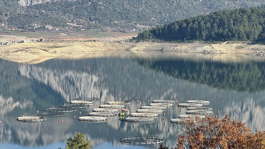 Burdur'daki Karacaören Barajı'nda üretilen alabalık ve somon yurt dışından alıcı buluyor