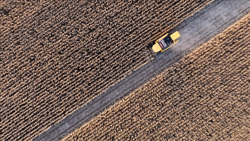 Tarımsal girdi fiyat endeksi Kasım 2025'te aylık yüzde 1,84, yıllık yüzde 34,24 arttı