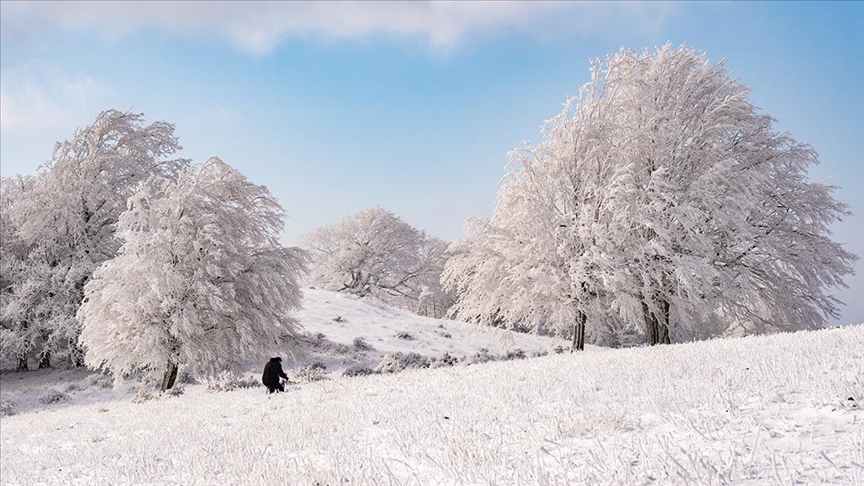 Istranca Ormanları karla kaplanınca ortaya kartpostallık görüntüler çıktı