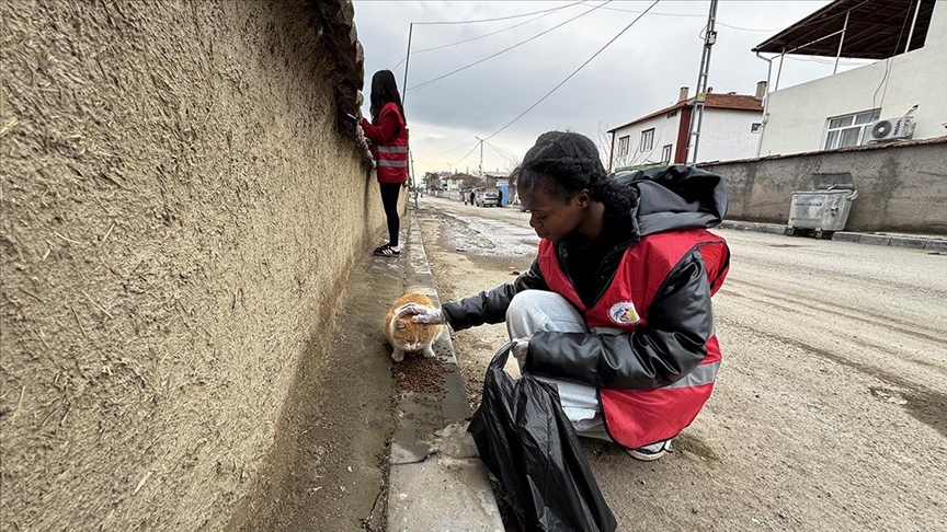 Hayvanseverler zorlu kış şartlarında "patili dostlar"ın yiyecek ihtiyacını karşılıyor