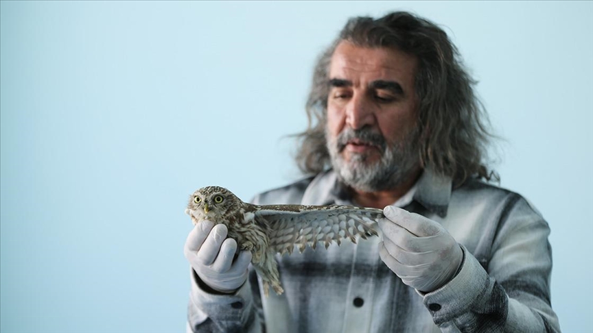 Kışın zorlu şartlarına dayanamayan yaban hayvanları Van'daki merkezde misafir ediliyor