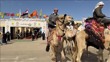 اختتام مهرجان سباقات الهجن في مدينة العريش المصرية