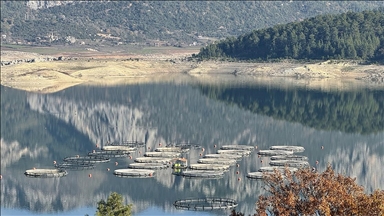 Burdur'daki Karacaören Barajı'nda üretilen alabalık ve somon yurt dışından alıcı buluyor