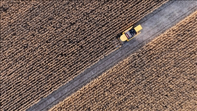 Tarımsal girdi fiyat endeksi Kasım 2025'te aylık yüzde 1,84, yıllık yüzde 34,24 arttı