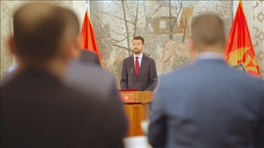 Milatović: Crna Gora usklađuje vanjsku politiku s EU, poštuje pravo Grenlanda na samoodređenje