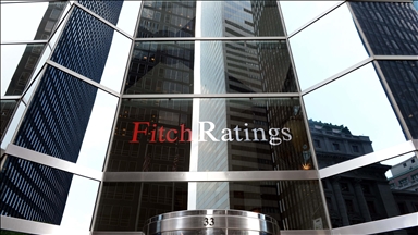 Fitch says US' Greenland tariff threat raises geopolitical risks in Europe